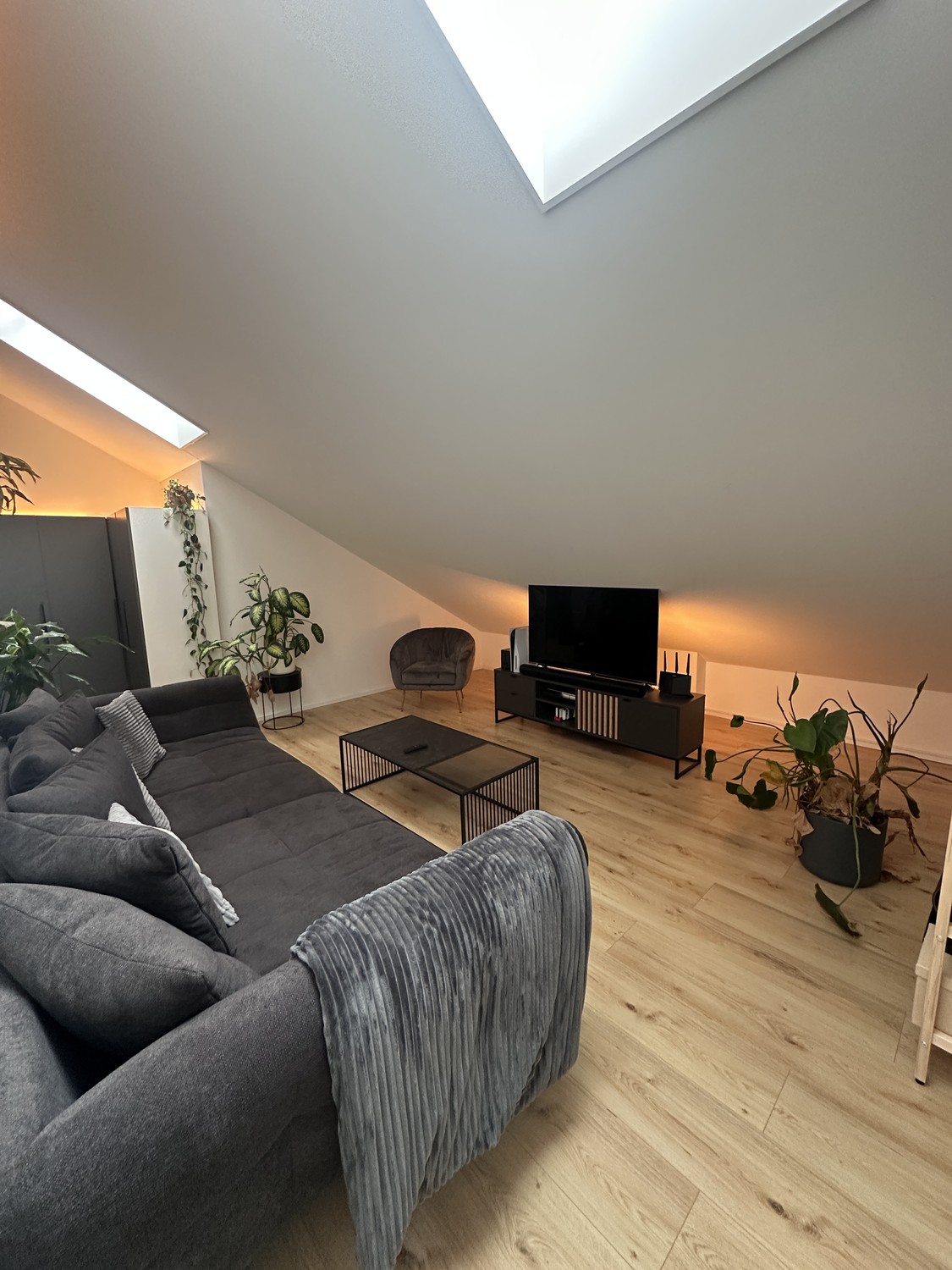 2 ½ rooms apartment, Foto 6 von 10