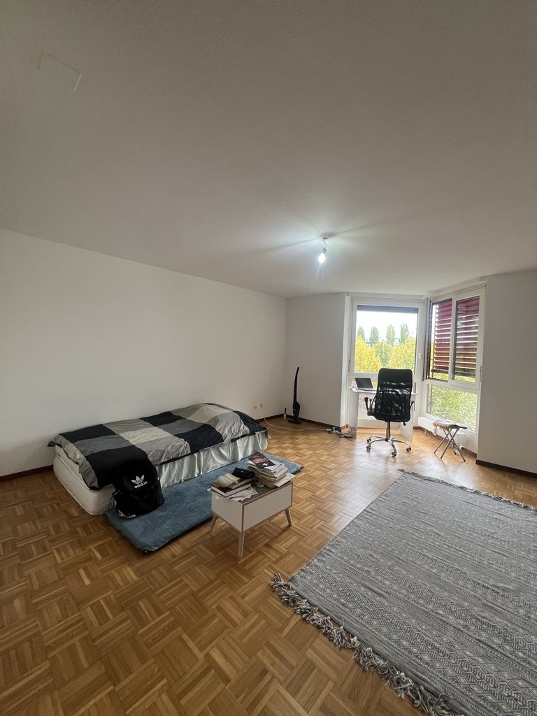 2 ½ Zimmer Wohnung
