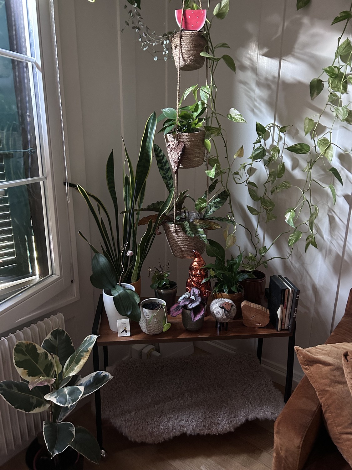 2 ½ rooms apartment, Foto 5 von 5