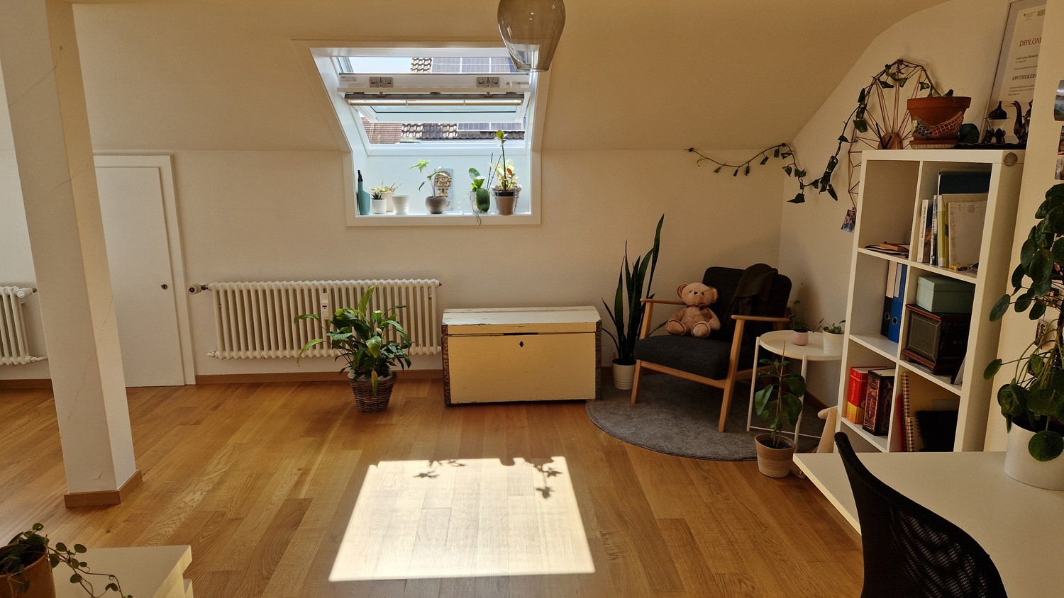 2 ½ Zimmer-Wohnung, Foto 1 von 4