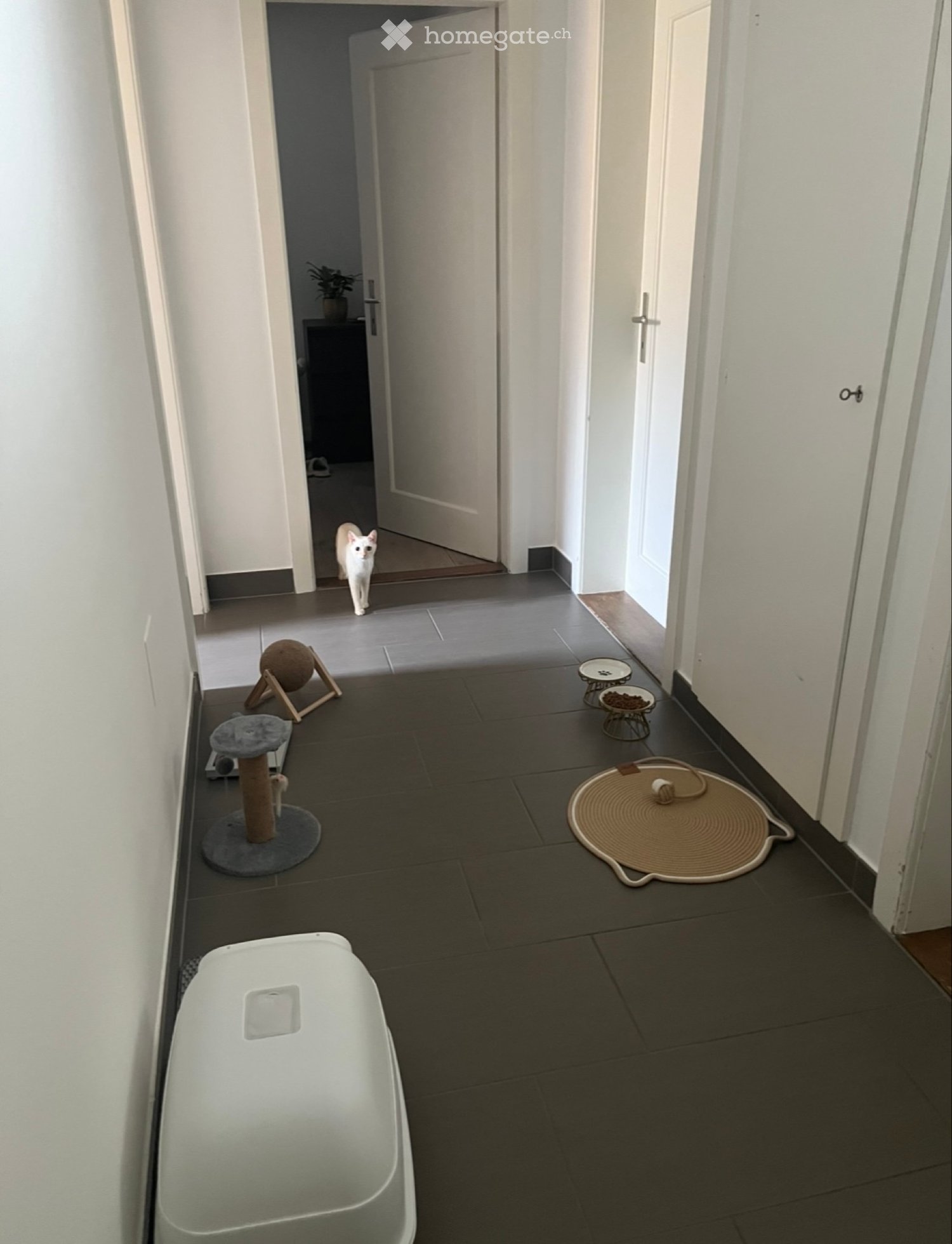 1 Zimmer Einzelzimmer, Foto 5 von 5