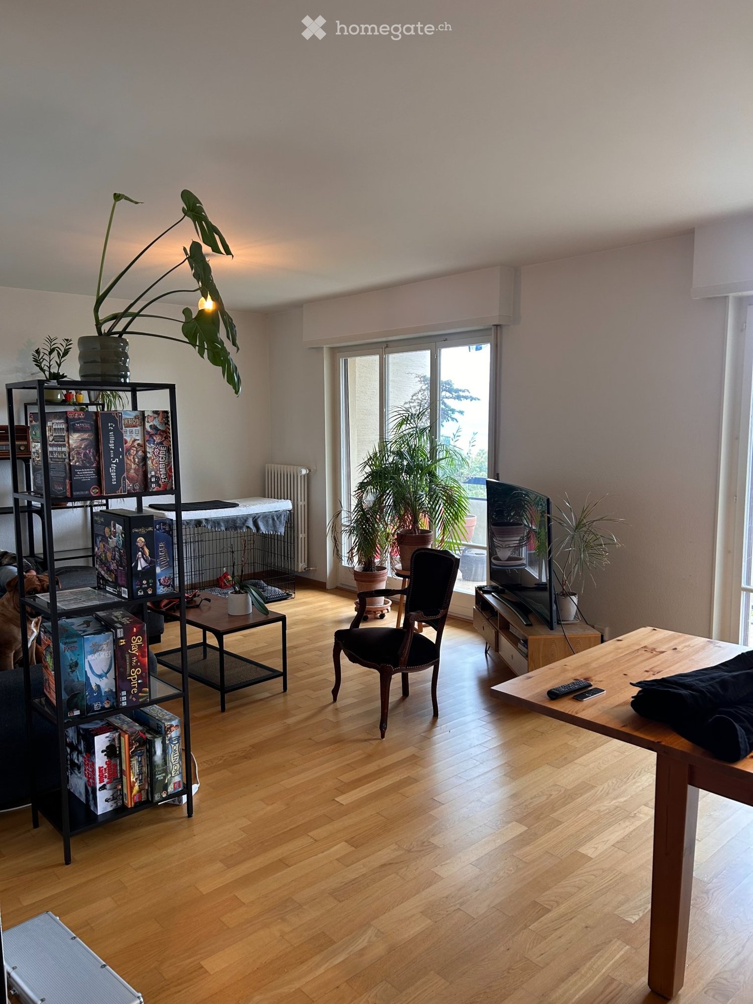 4 ½ Zimmer-Wohnung