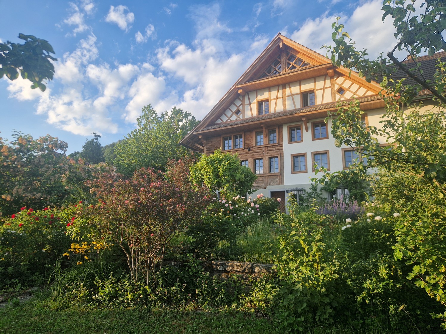 maison individuelle de 1 pièce