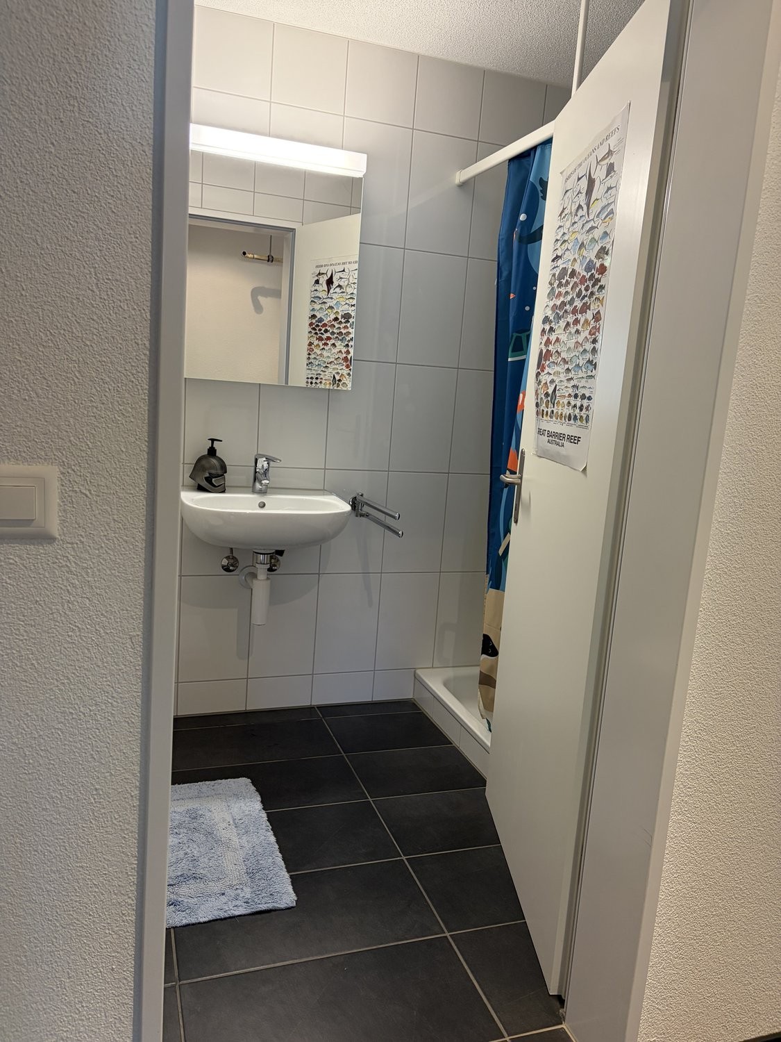 3 ½ rooms furnished flat, Foto 8 von 10
