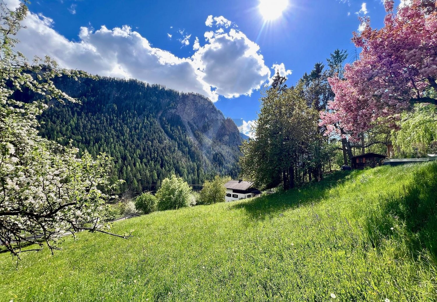 1020m² building land