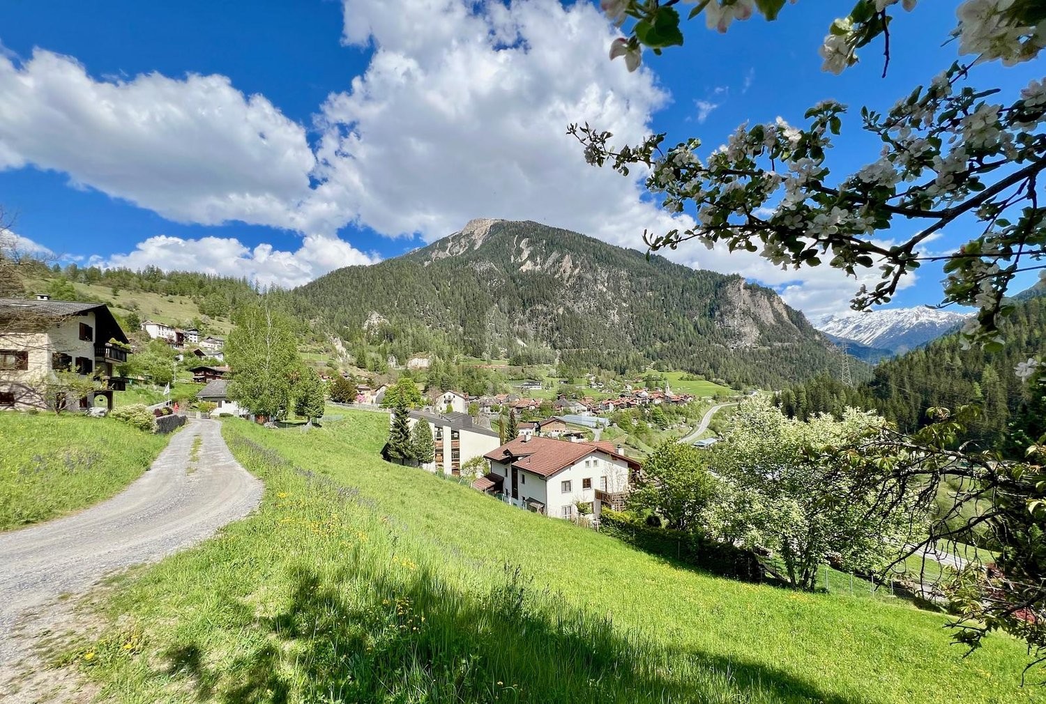 1020m² building land
