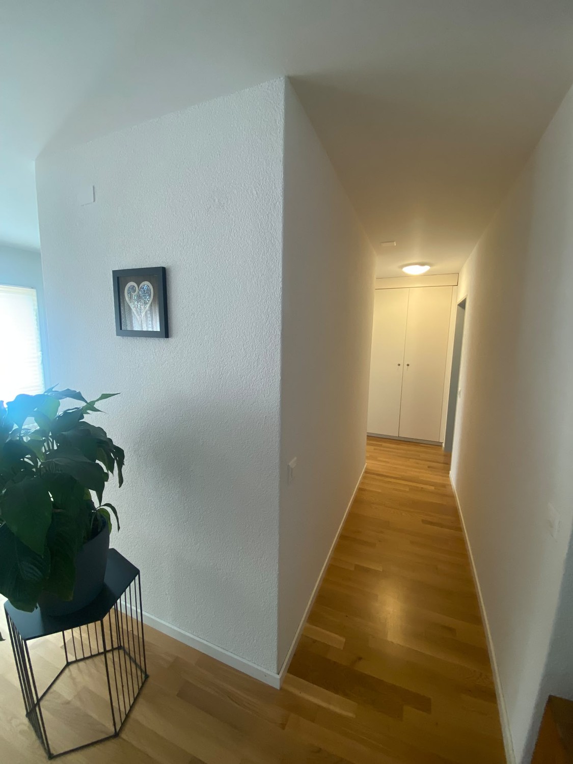 2 ½ rooms apartment, Foto 5 von 10