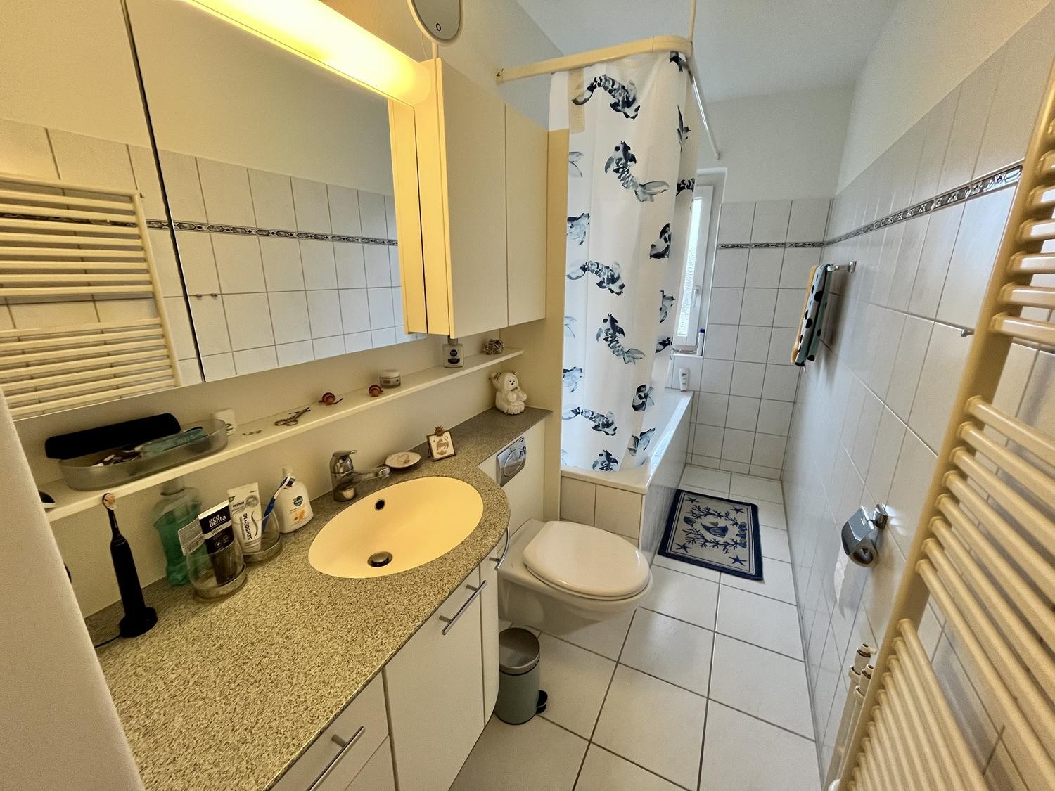 Appartamento di 3 ½ locali