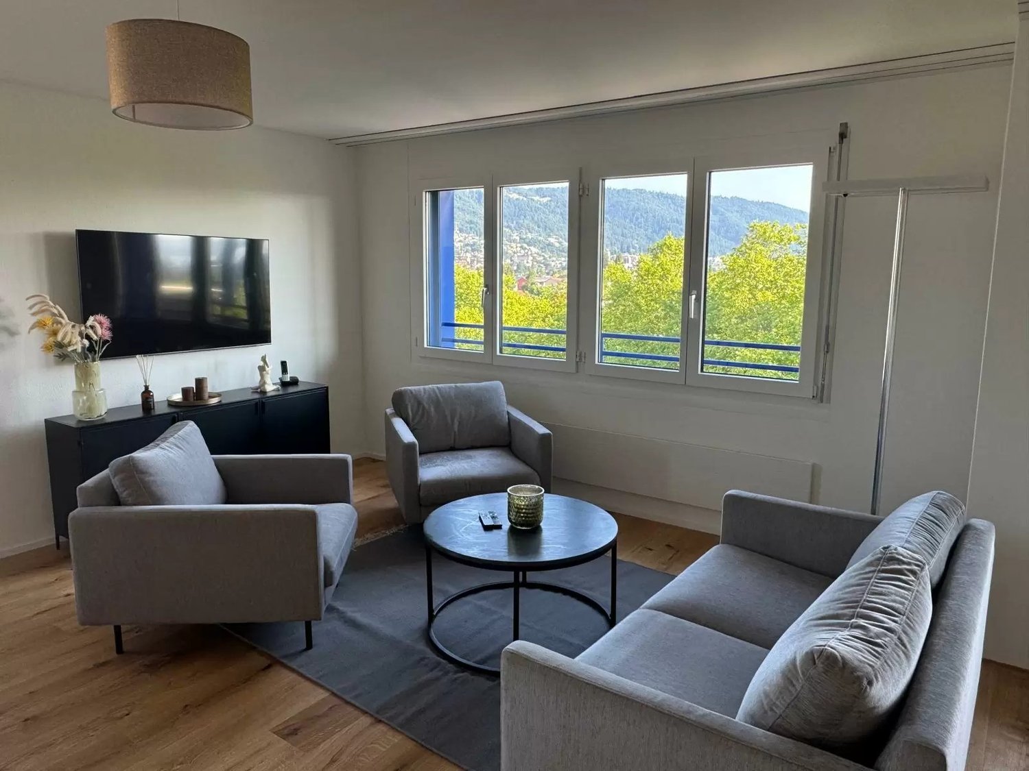 3 ½ rooms furnished flat (8)
