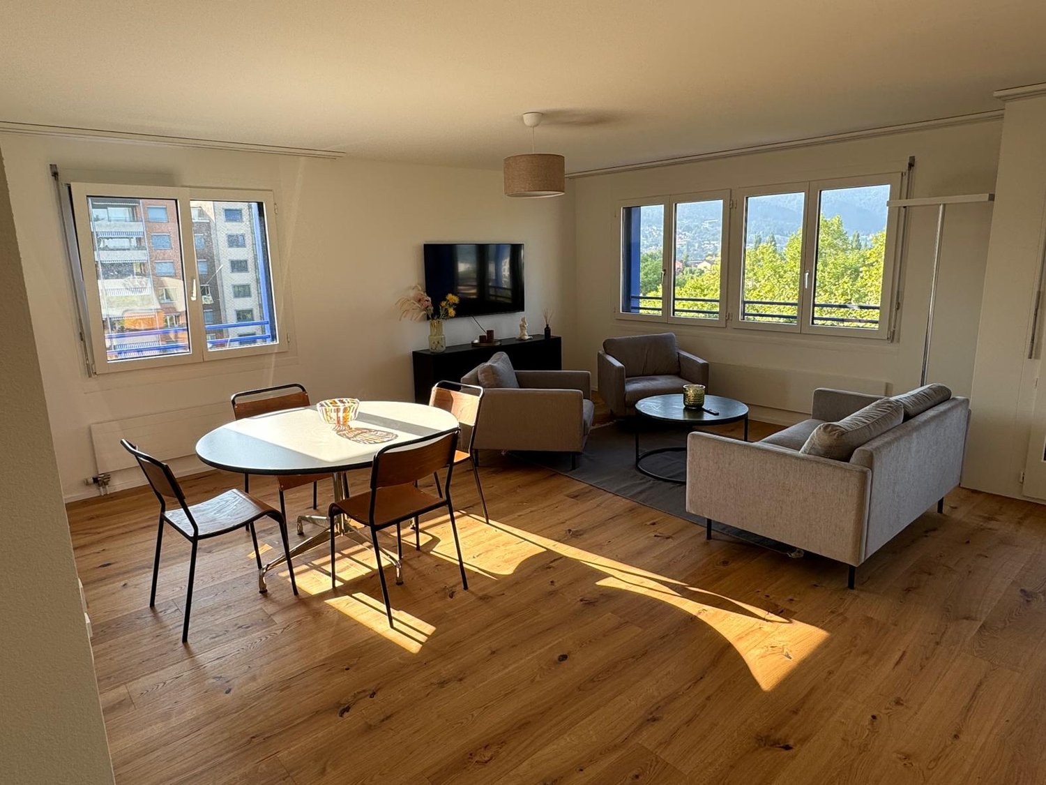 3 ½ rooms furnished flat (6)