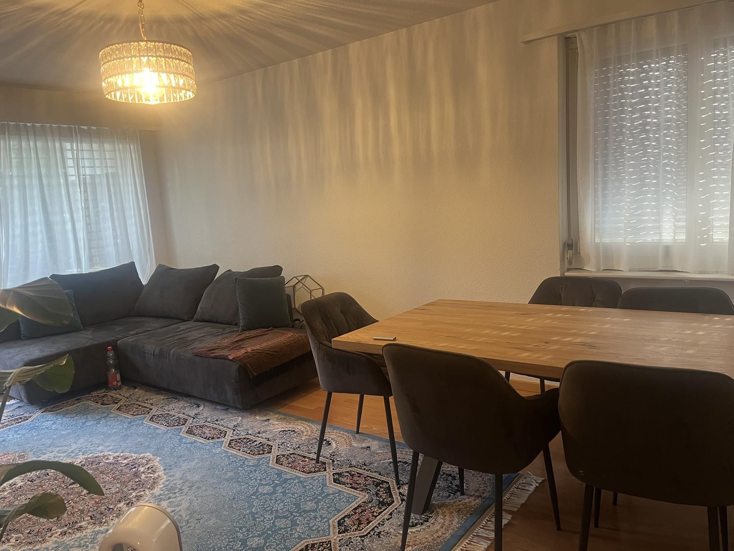 Appartement de 3 ½ pièces