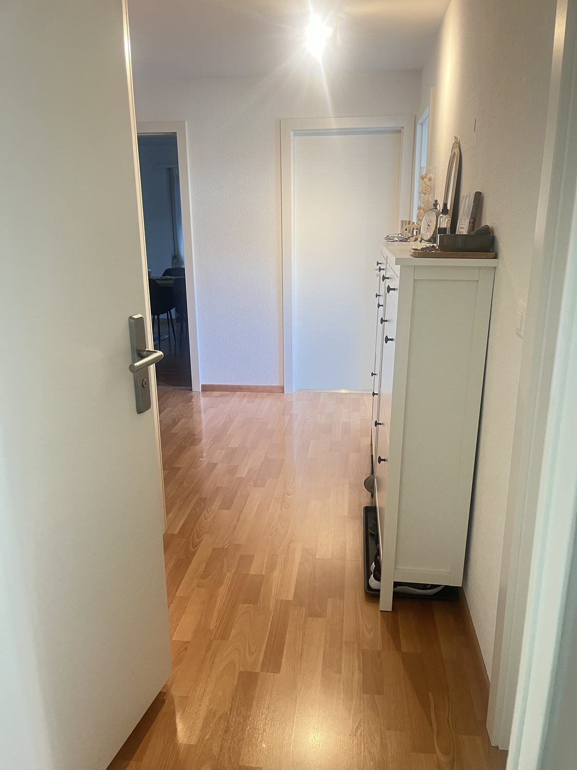 Appartement de 3 ½ pièces