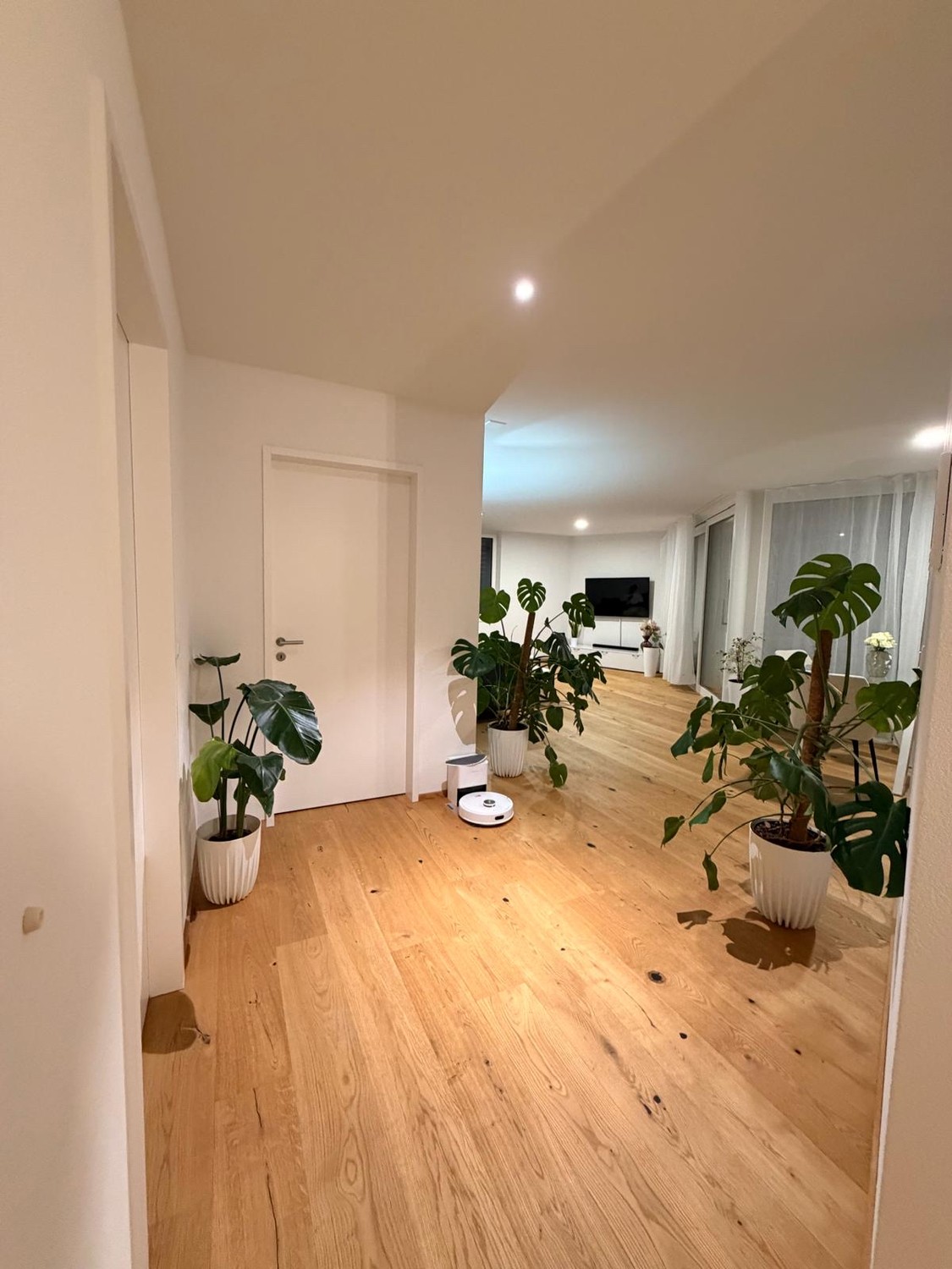 Appartement de 1 ½ pièces