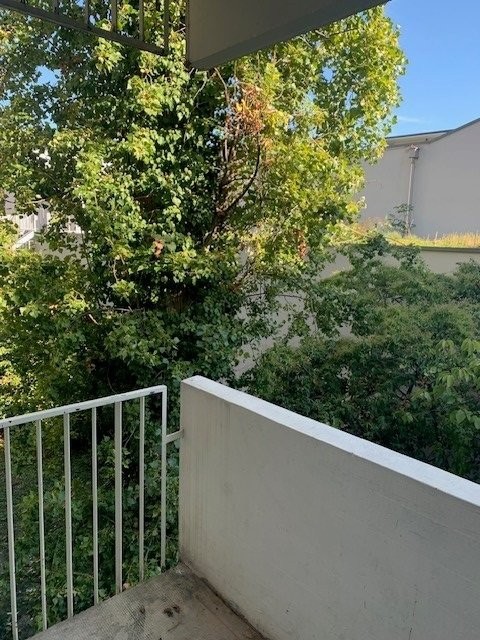 2 ½ pièces appartement