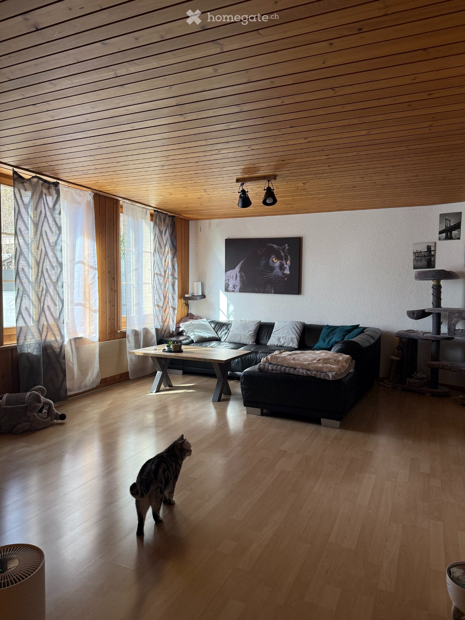 1 room single room (3)
