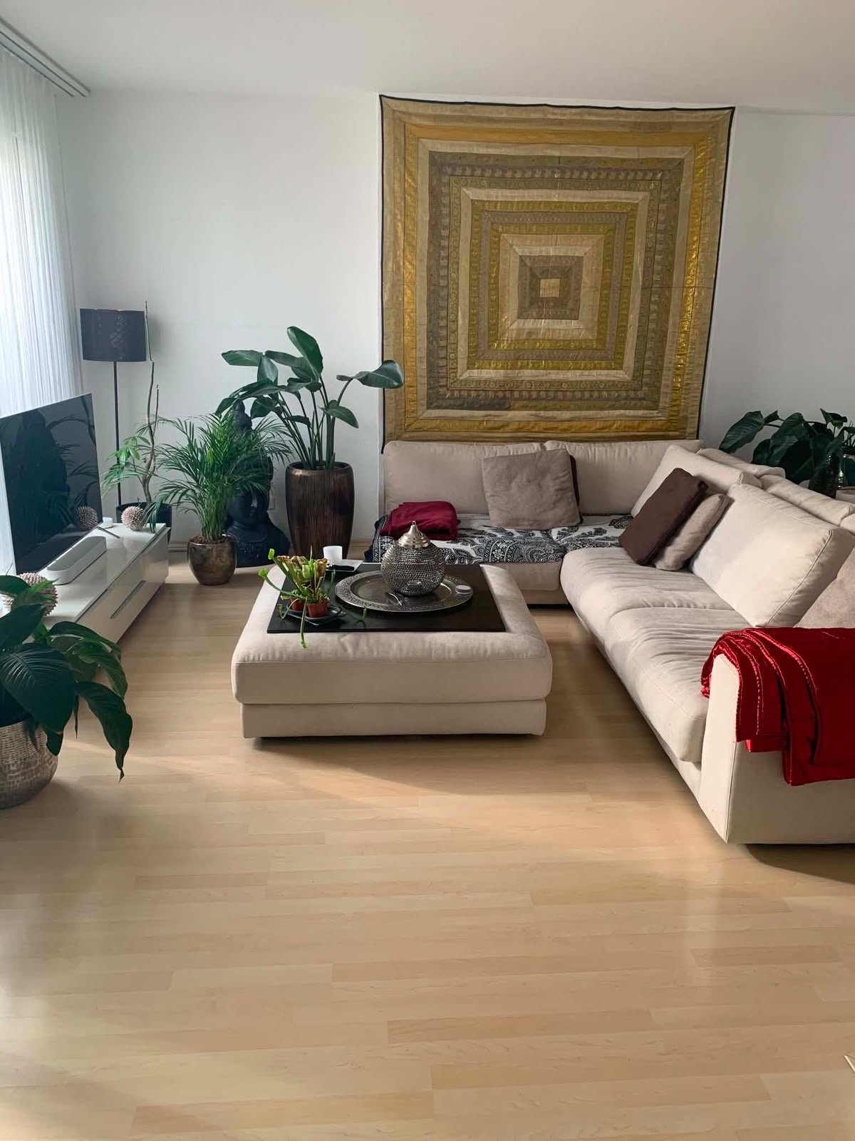 Room in a shared flat