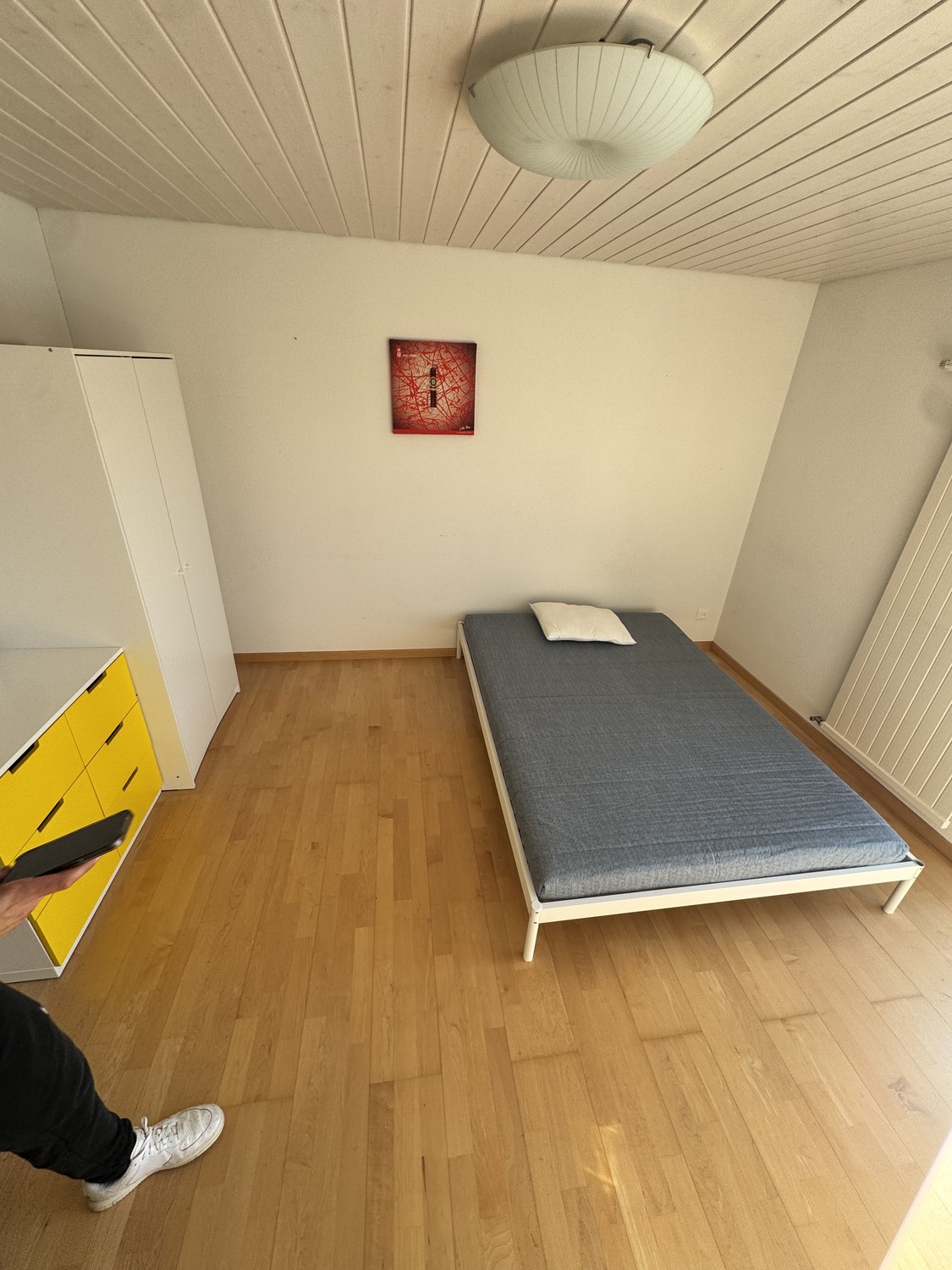 Room in a shared flat