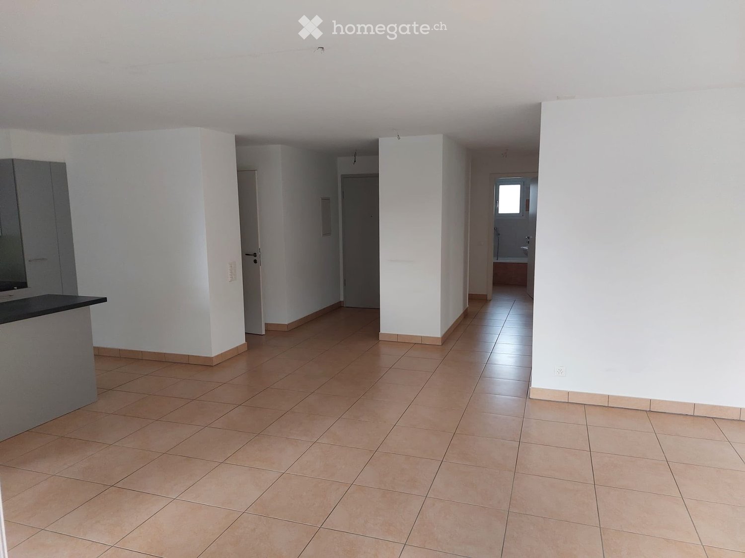 3 ½ Zimmer-Wohnung