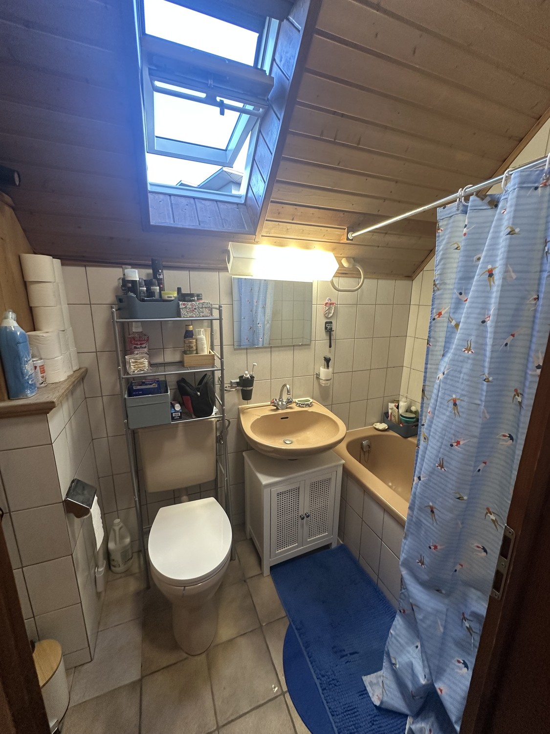 4 ½ Zimmer Wohnung