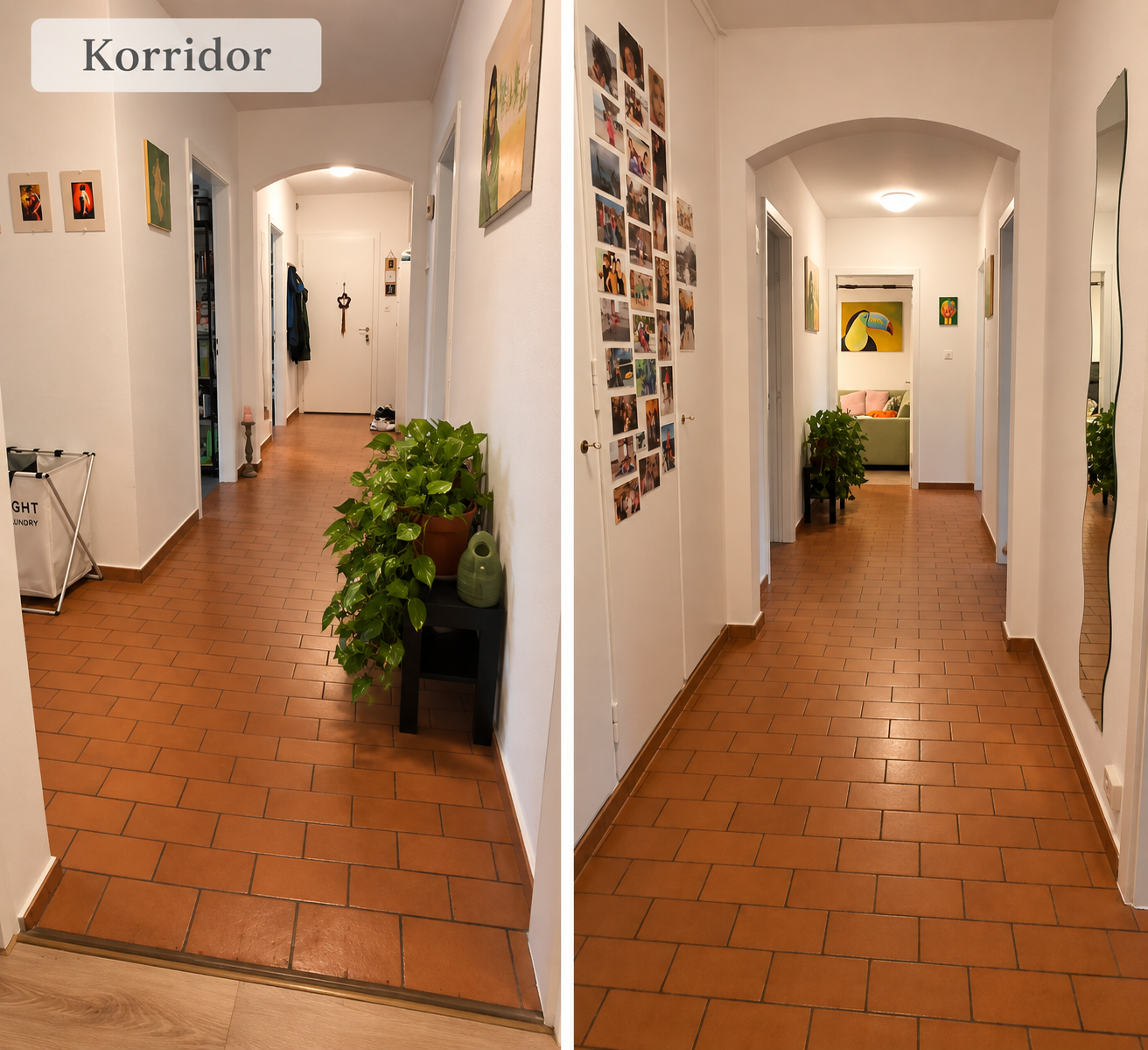 Room in a shared flat