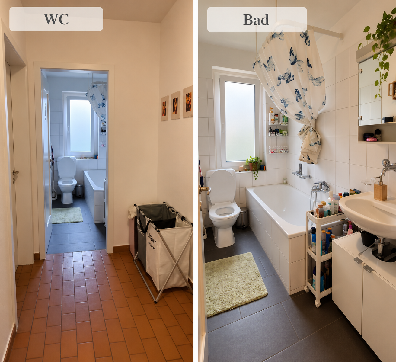 Room in a shared flat