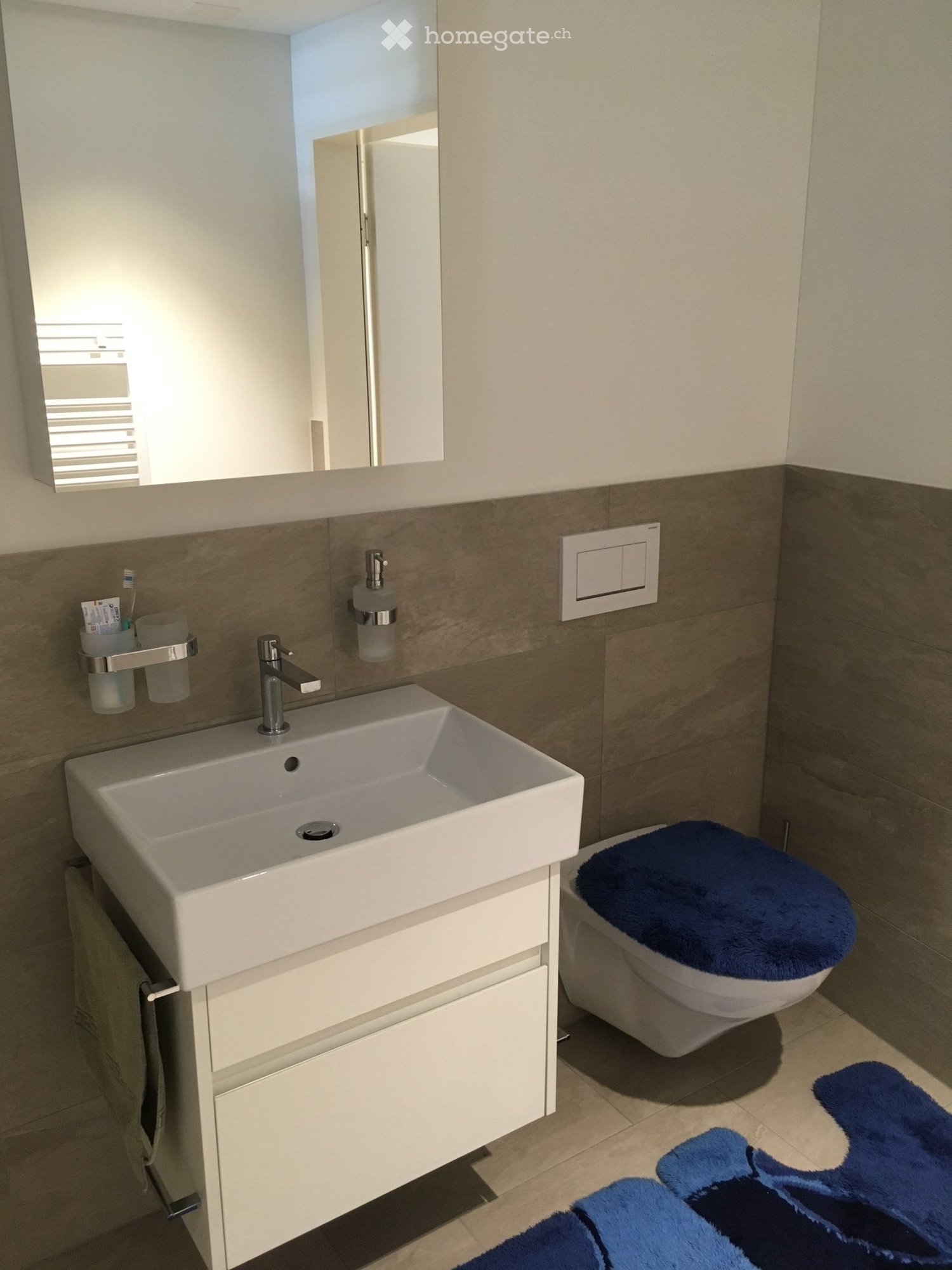 2 ½ rooms apartment