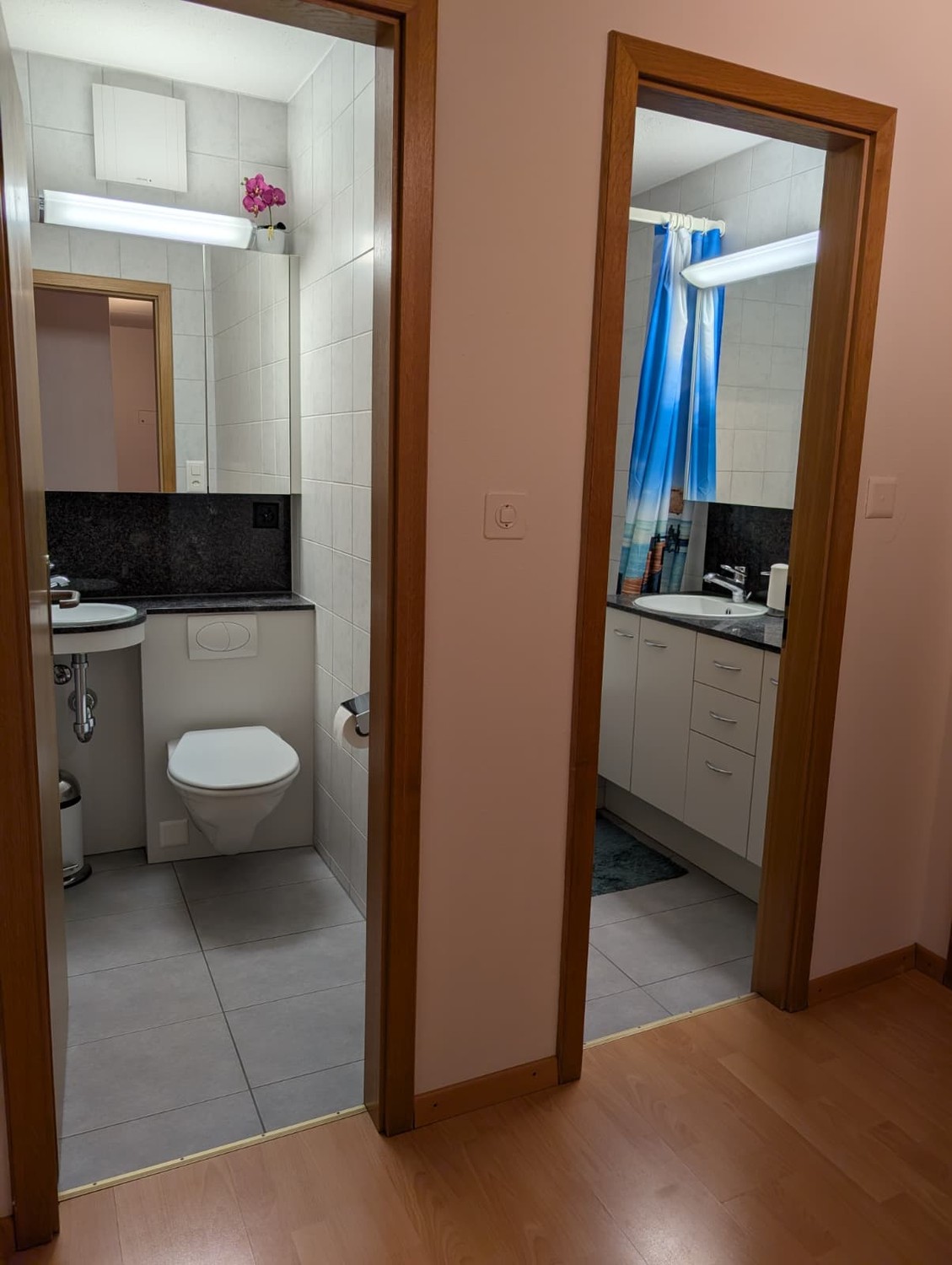Room in a shared flat