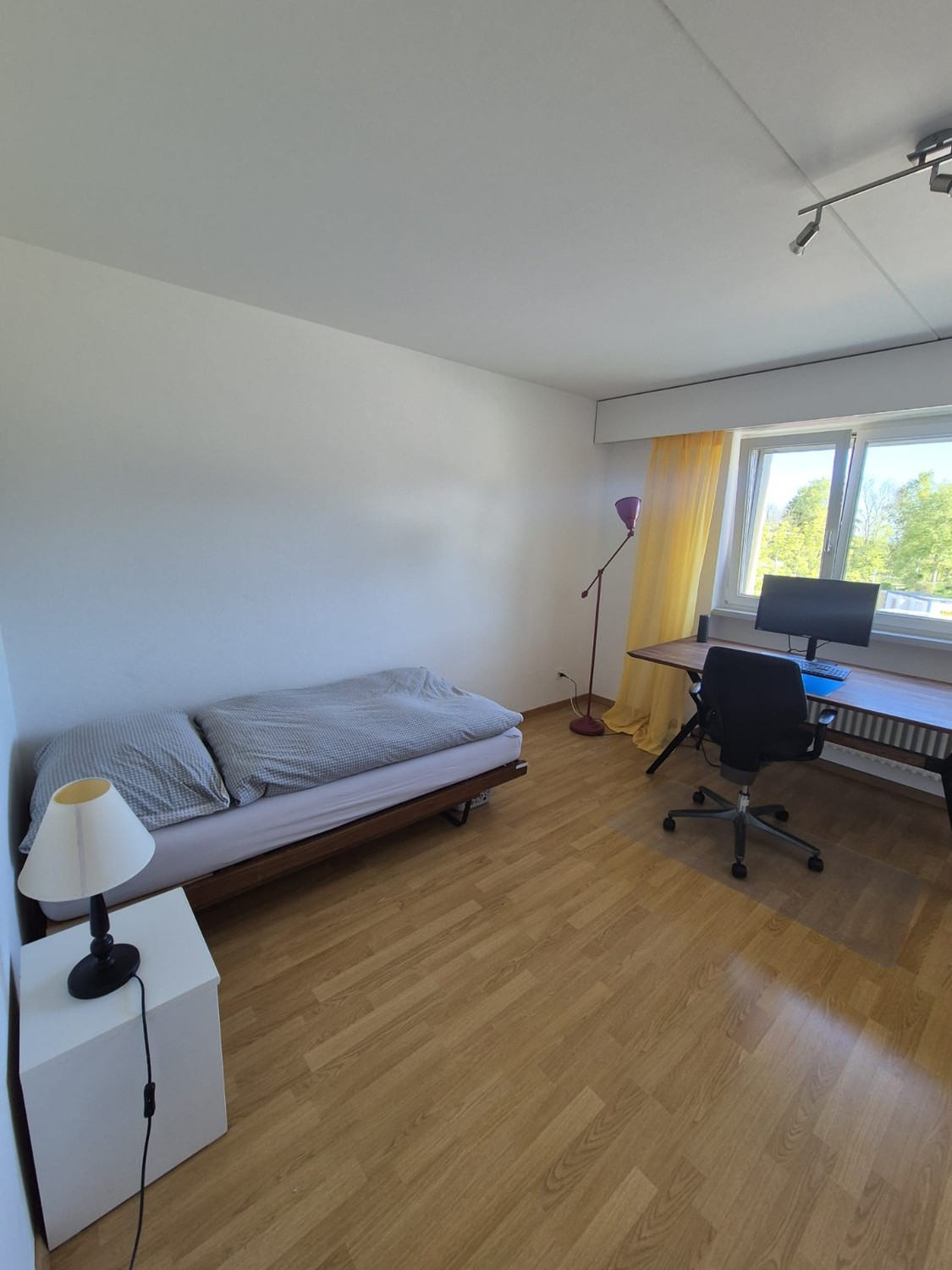 Room in a shared flat