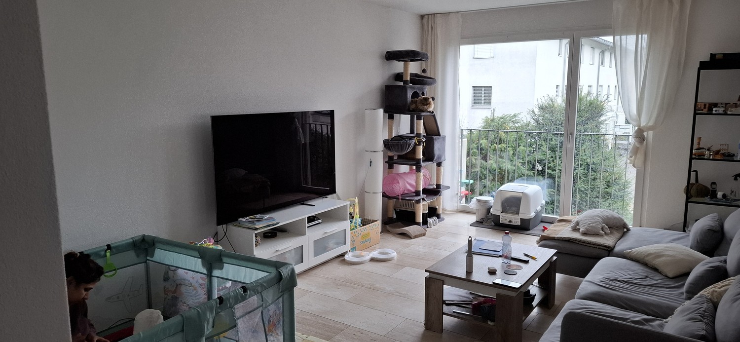 4 ½ rooms apartment