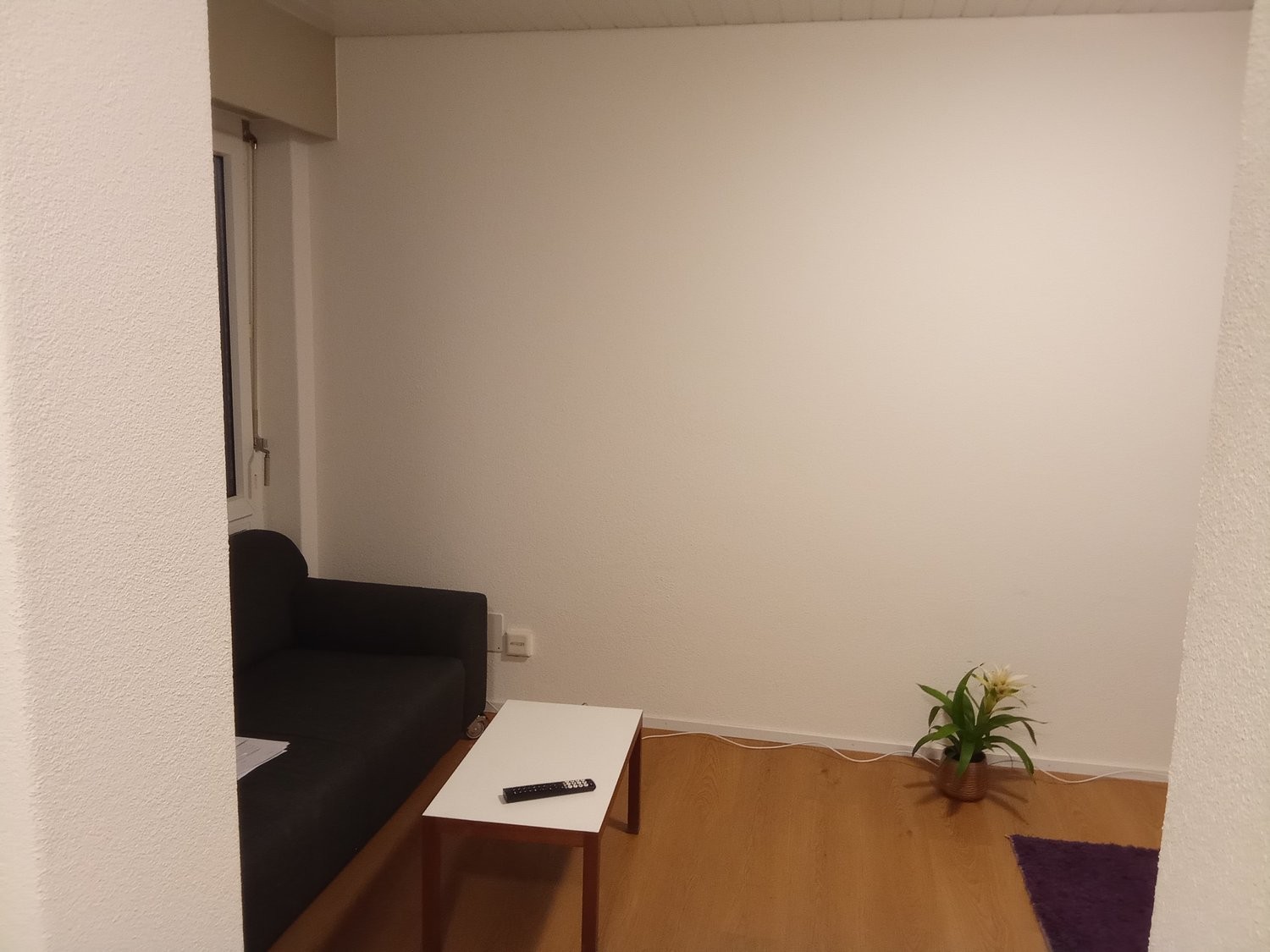 2 ½ rooms furnished flat