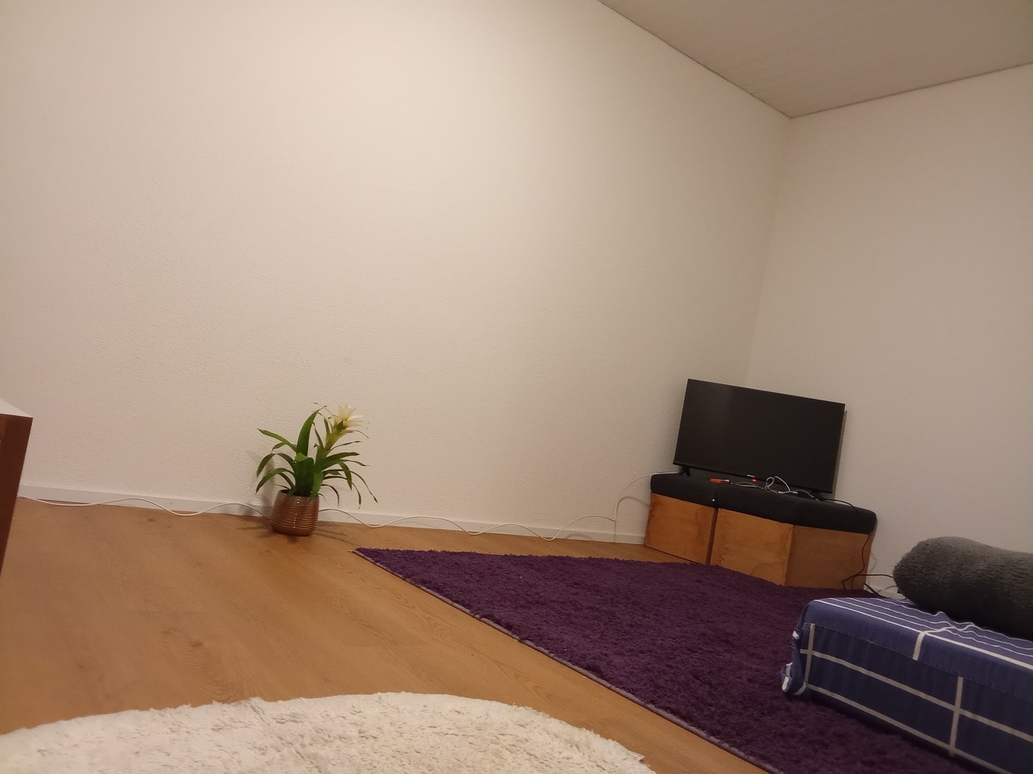 2 ½ rooms furnished flat