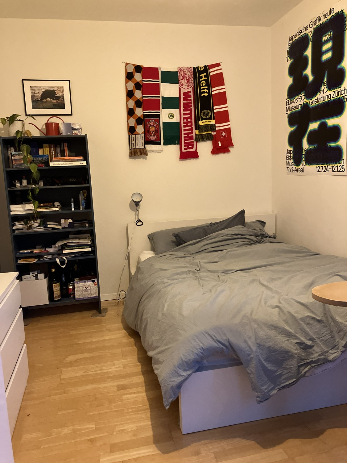 Room in a shared flat