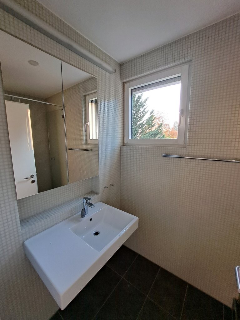 2 ½ pièces appartement au grenier