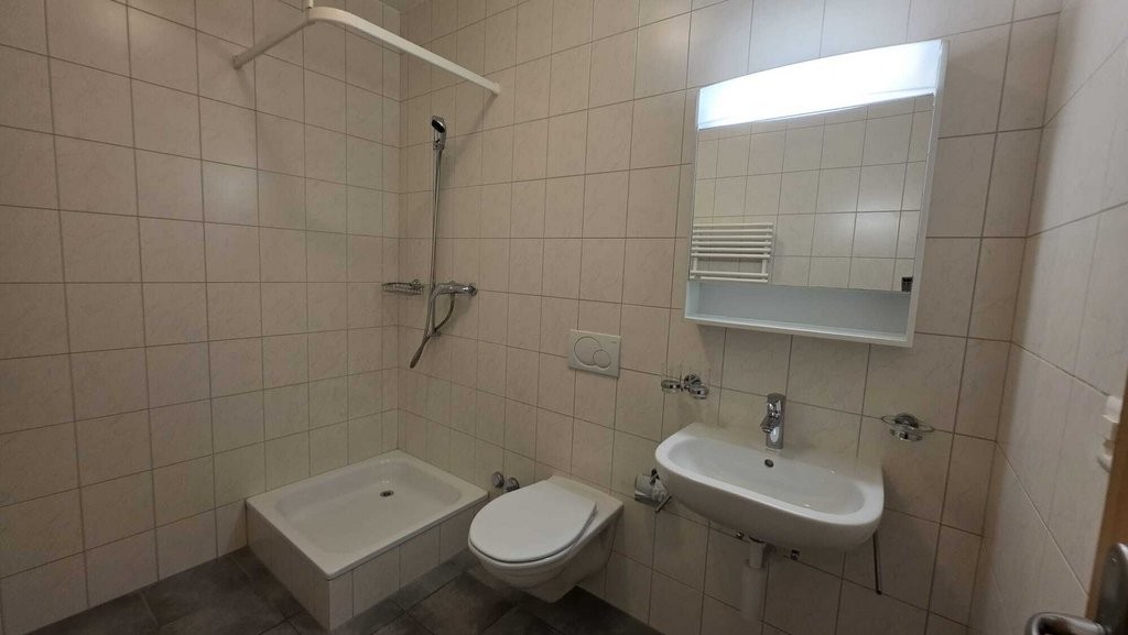4 ½ rooms apartment (9)