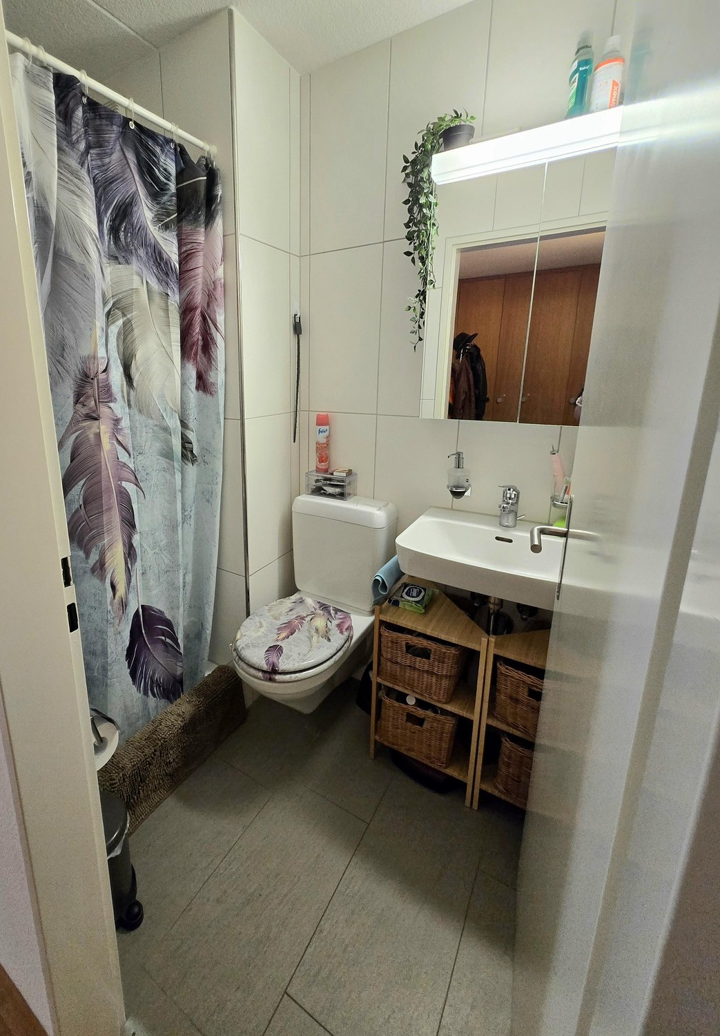 2 ½ rooms apartment