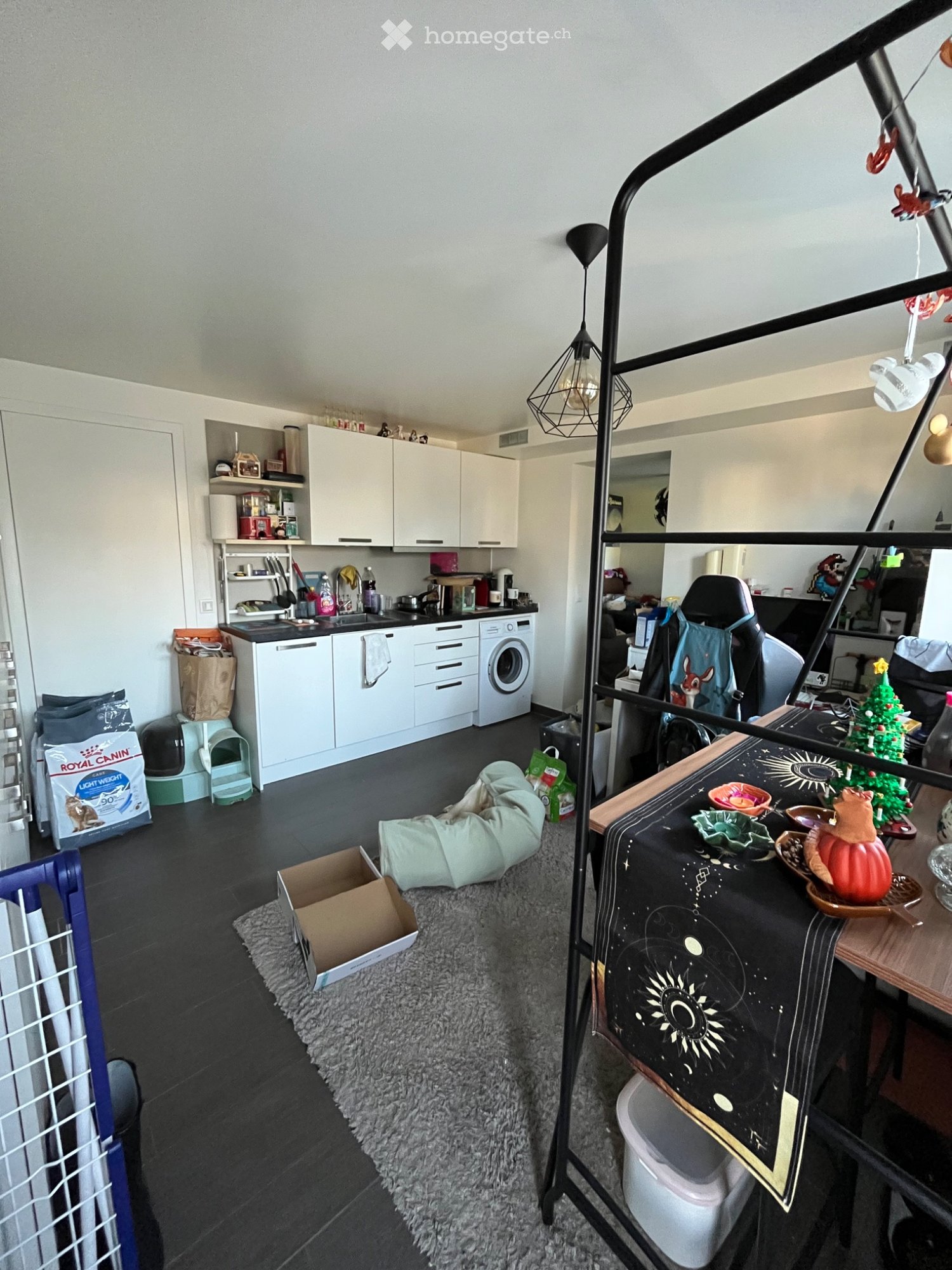 1 room apartment