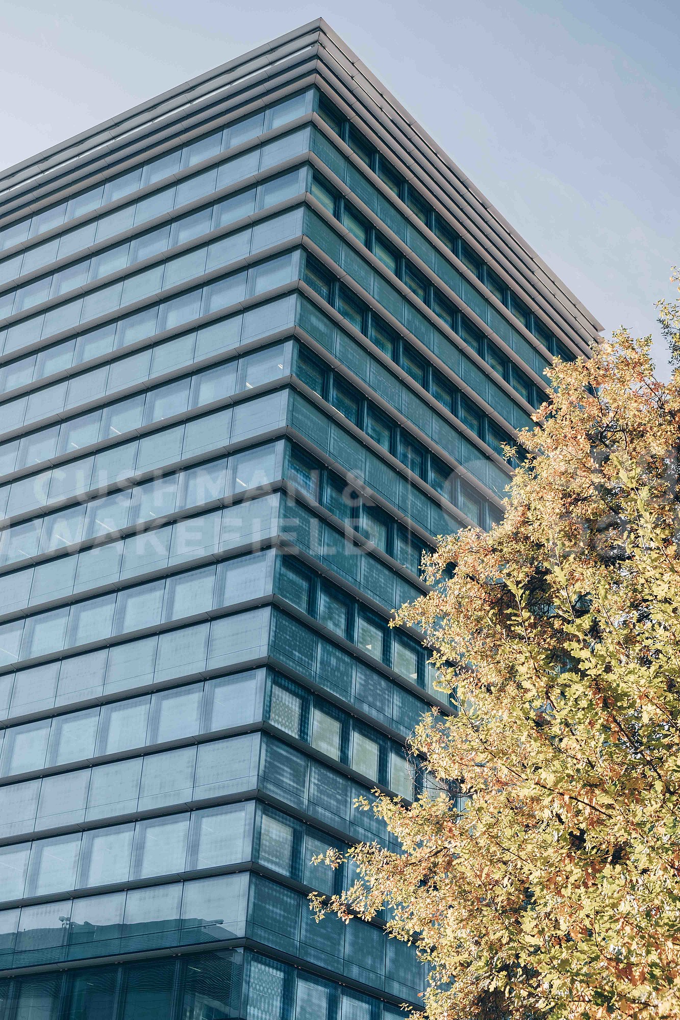 540m² Büro, Foto 10 von 10
