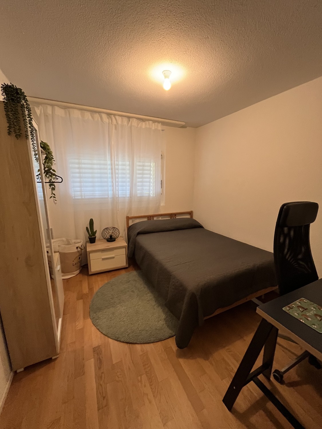 Appartement de 1 ½ pièces