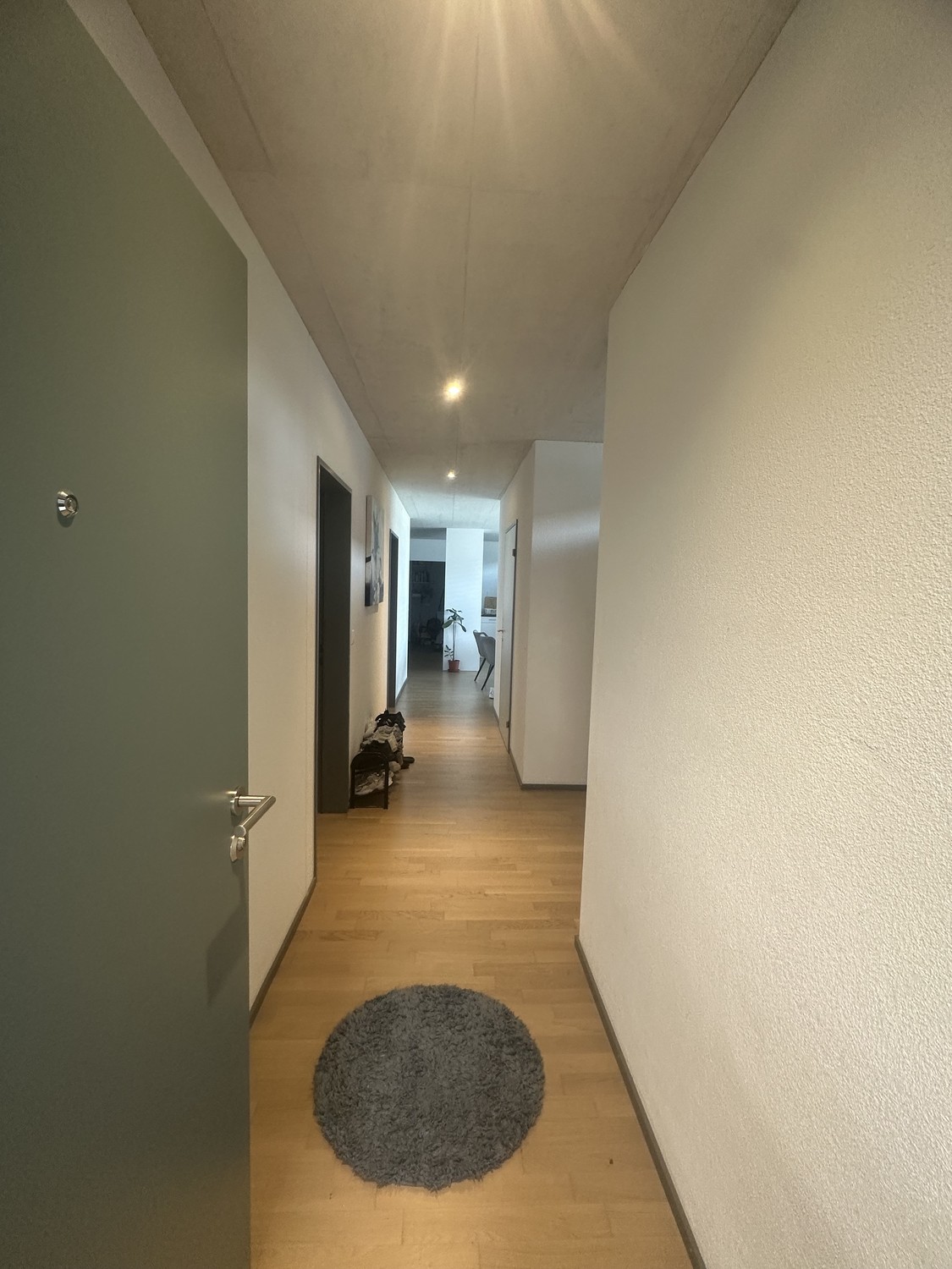 Room in a shared flat