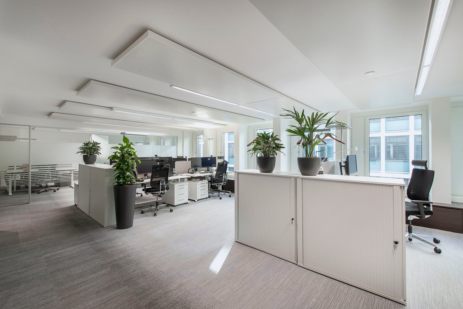 710m² office, Foto 2 von 10