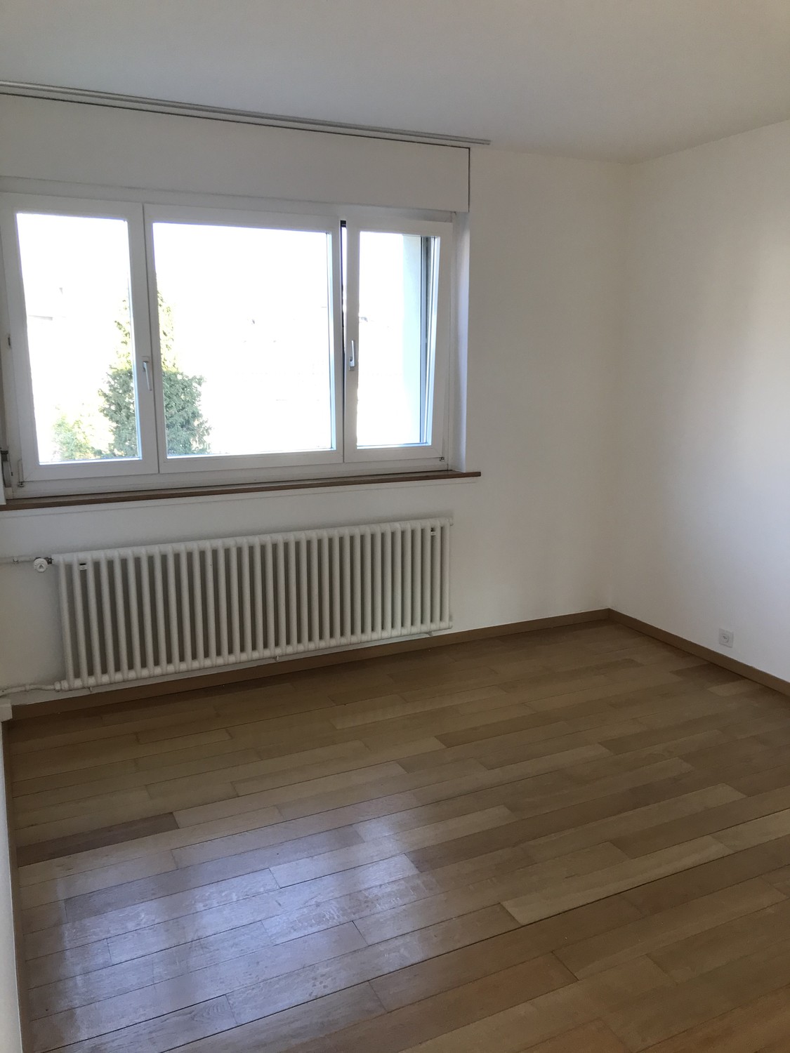 2 ½ rooms apartment, Foto 5 von 9