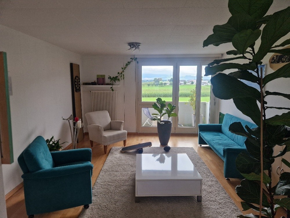 Appartement de 3 ½ pièces