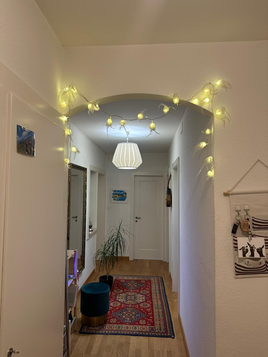 Room in a shared flat