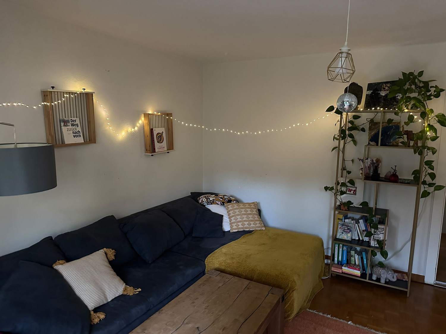Room in a shared flat