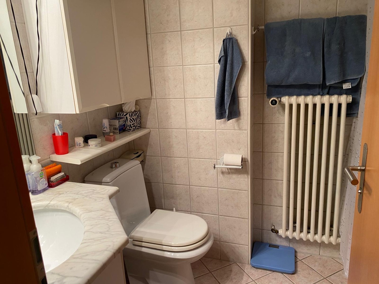 Appartamento di 3 ½ locali, foto 6 di 9