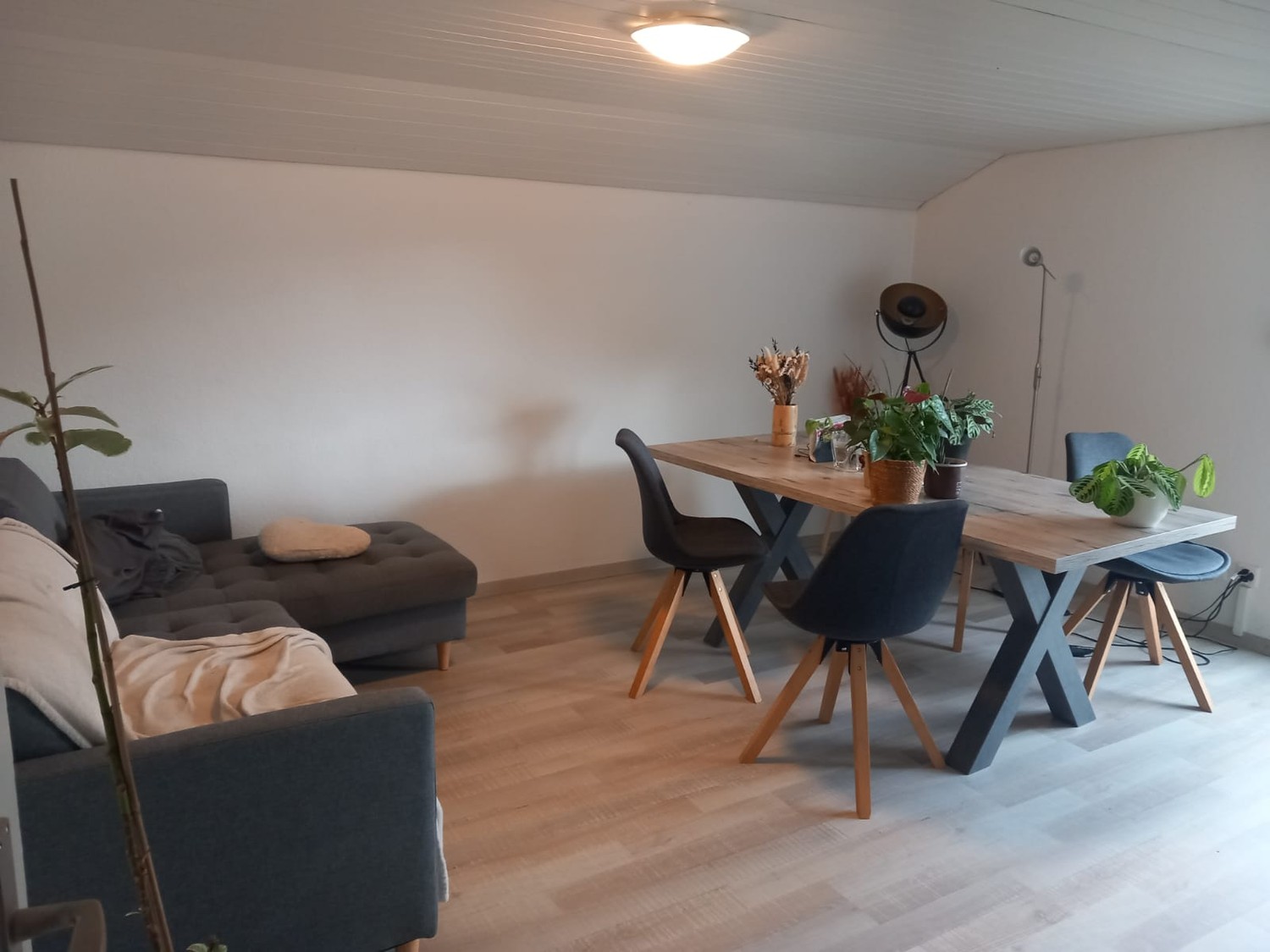 3 rooms apartment, Foto 1 von 7