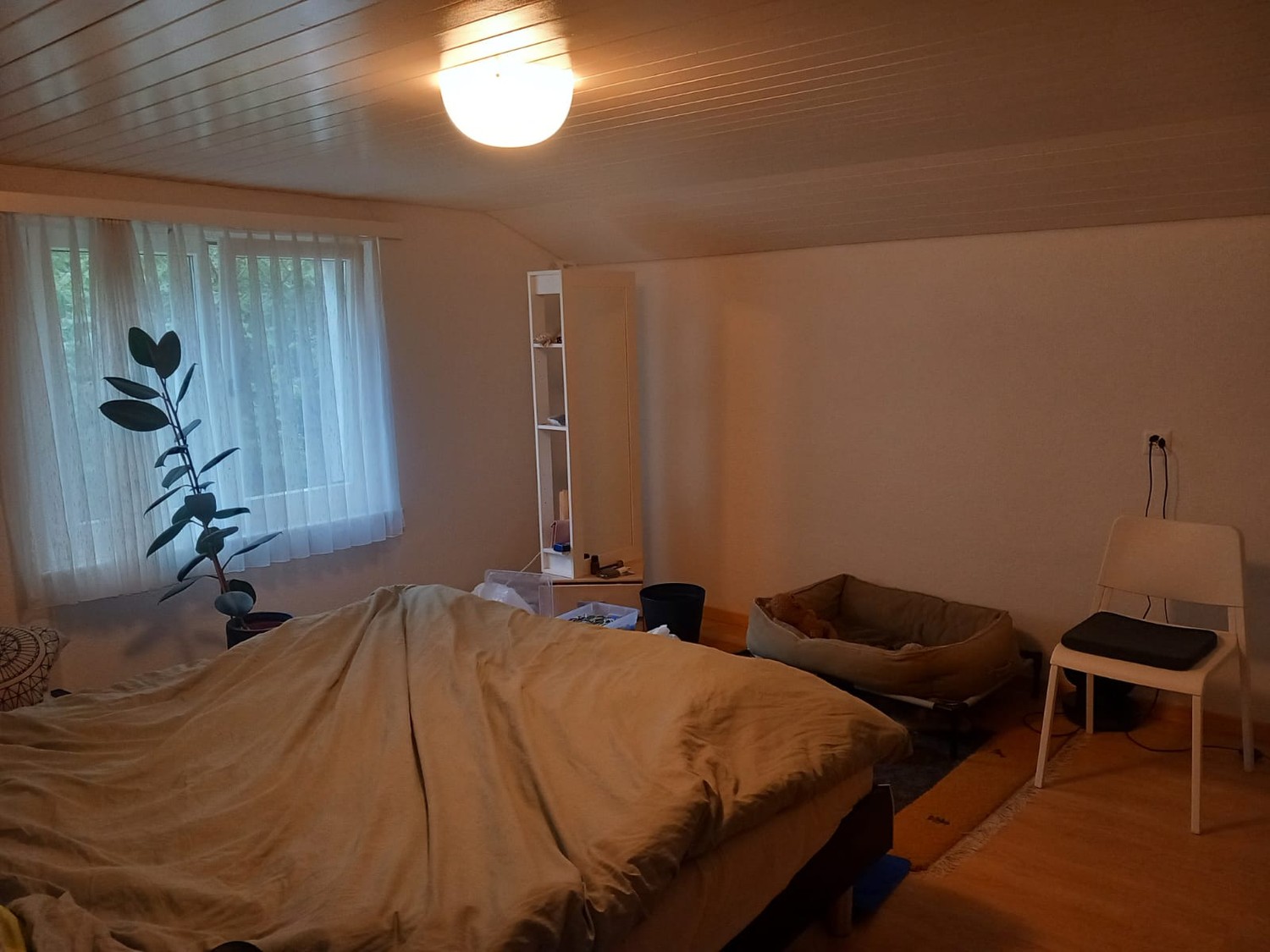 3 rooms apartment, Foto 5 von 7