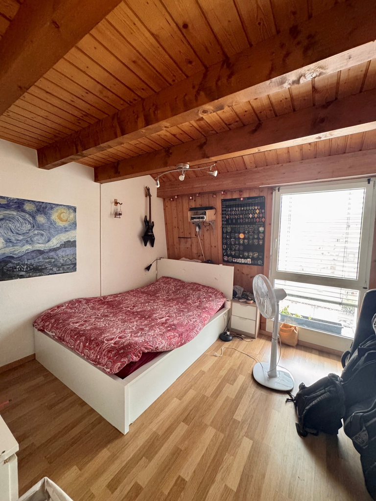 5 ½ rooms duplex