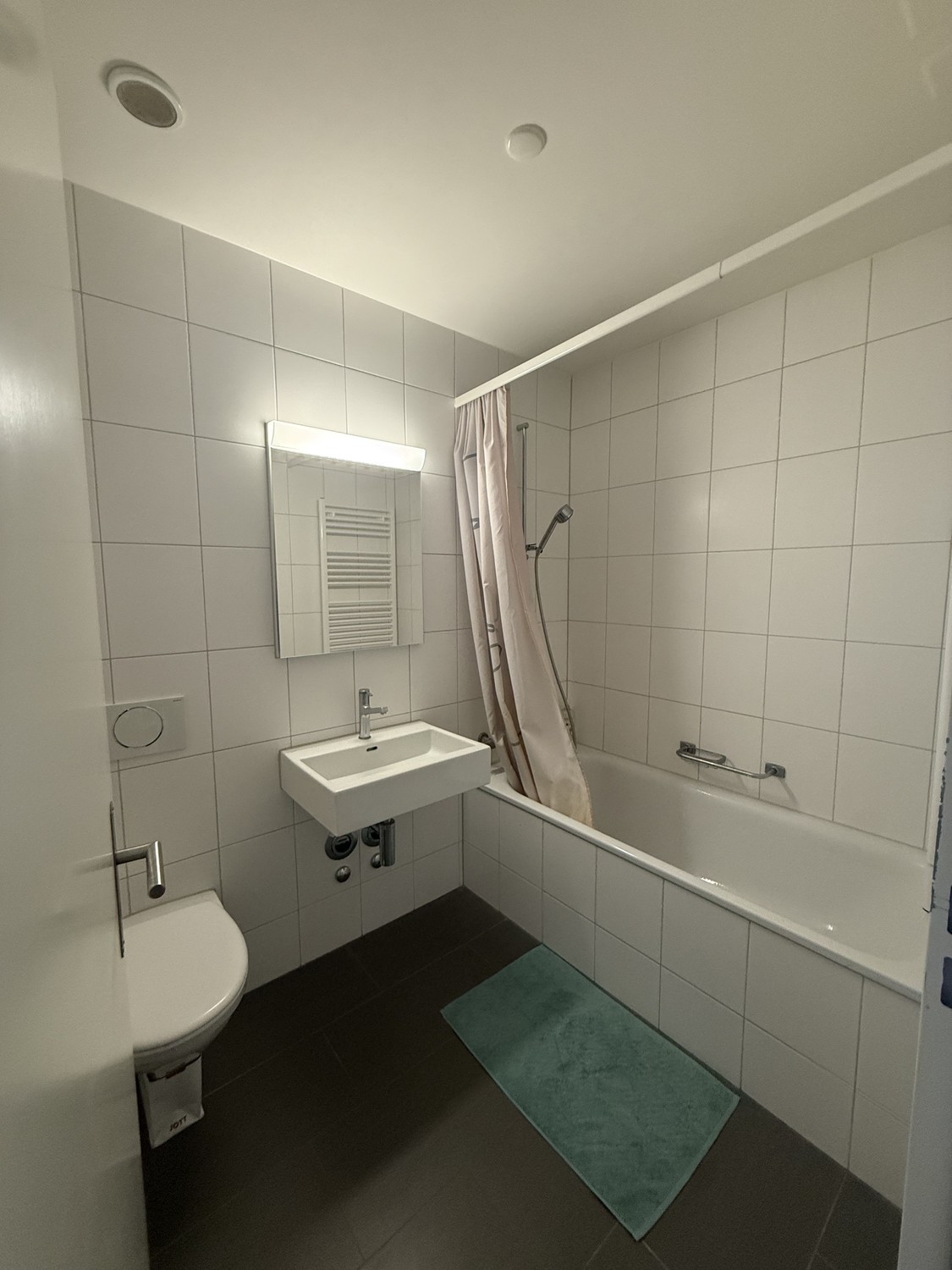 1 ½ Zimmer-Wohnung