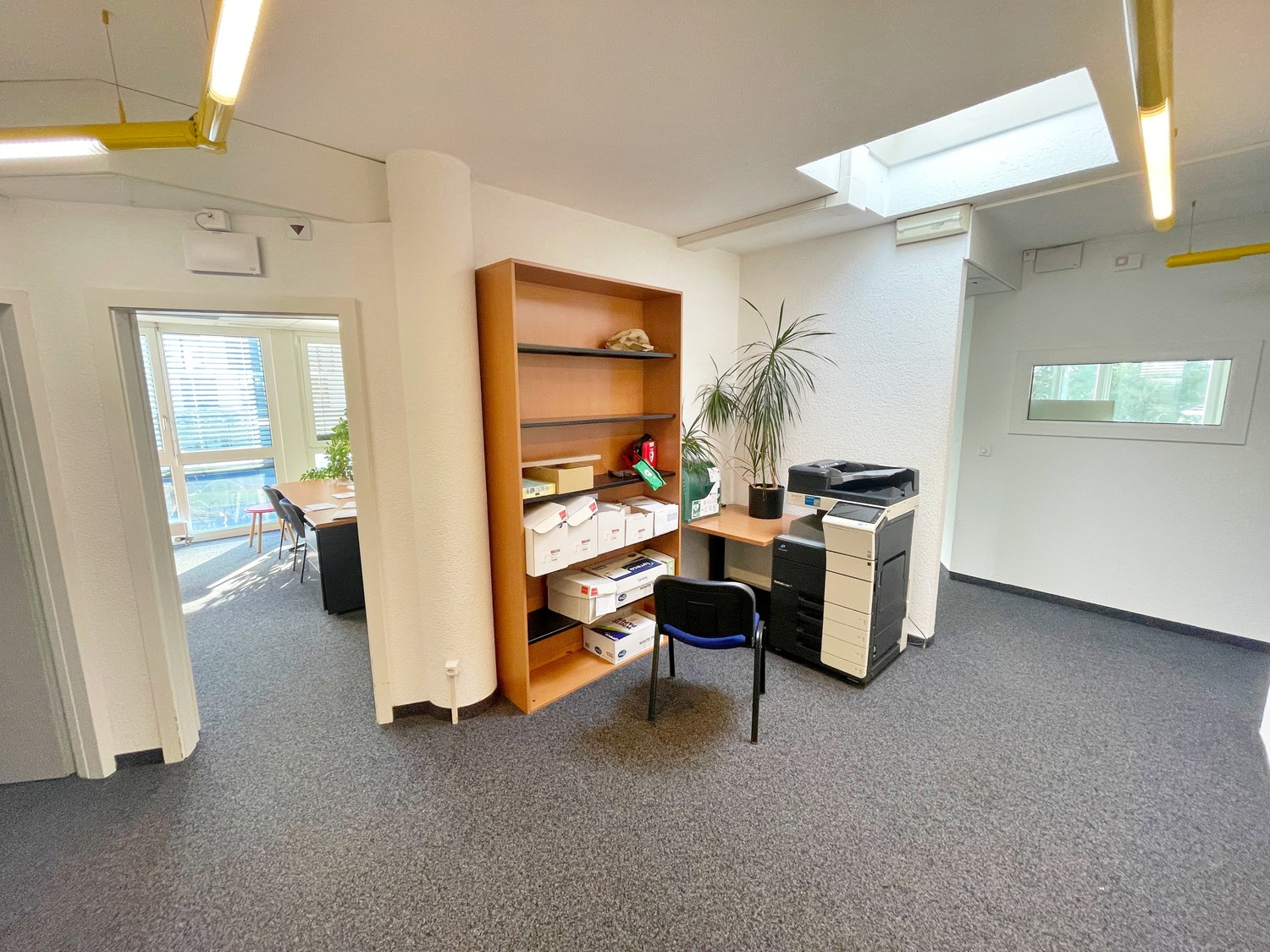 230m² Verkaufsfläche, Foto 5 von 10
